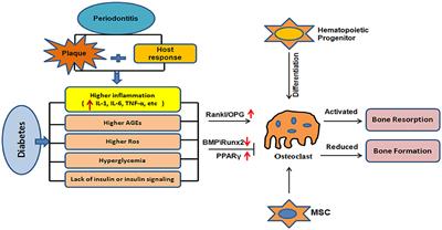 Current Knowledge Regarding the Interaction Between Oral Bone Metabolic Disorders and Diabetes Mellitus